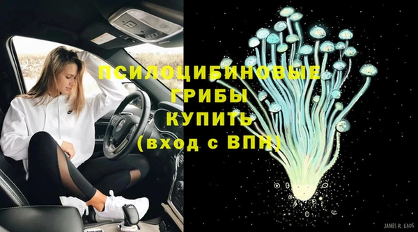стафф Балахна