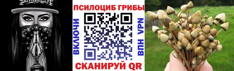 закладка  Североуральск  ОМГ ОМГ как зайти  Псилоцибиновые грибы мицелий 